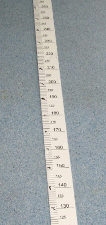 Meter na meranie skoku do diaľky